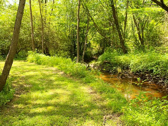 Creek in back of property