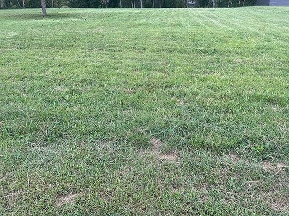 2nd image of 22 Monkey Bluff Rd