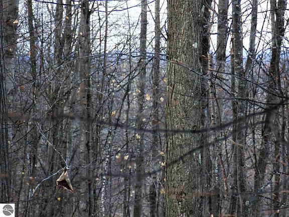 3rd image of LOT 12 Eagles Nest Dr