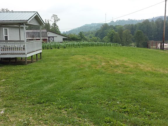 Front left and front yard