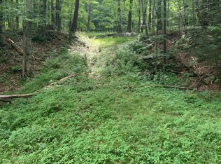 0 Butterfield Rd, New Milford, PA 18834