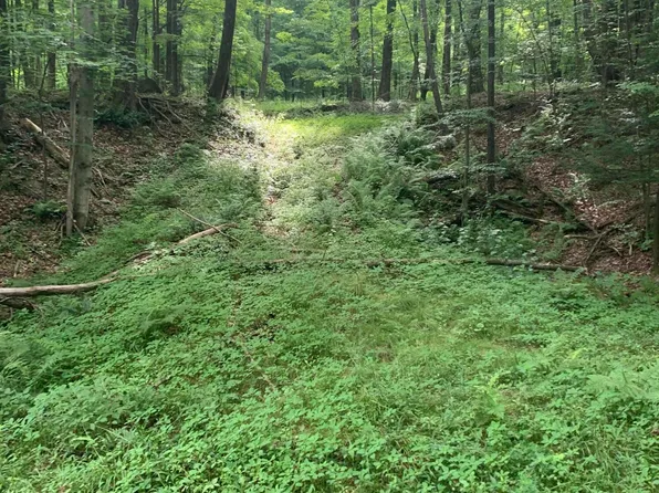 0 Butterfield Rd, New Milford, PA 18834