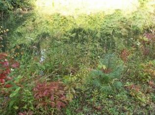 Betty Hammons Ln, Mountain City, TN 37683
