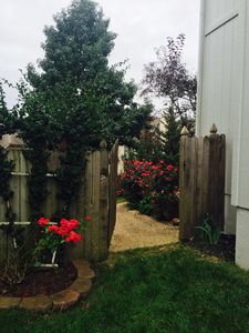313 Shannon Ave, Smithville, MO, 64089