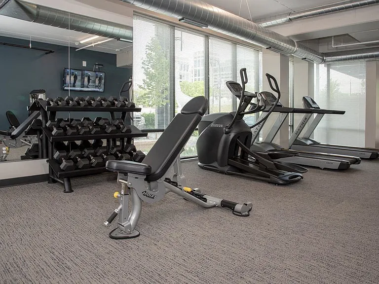 Large Fitness Space