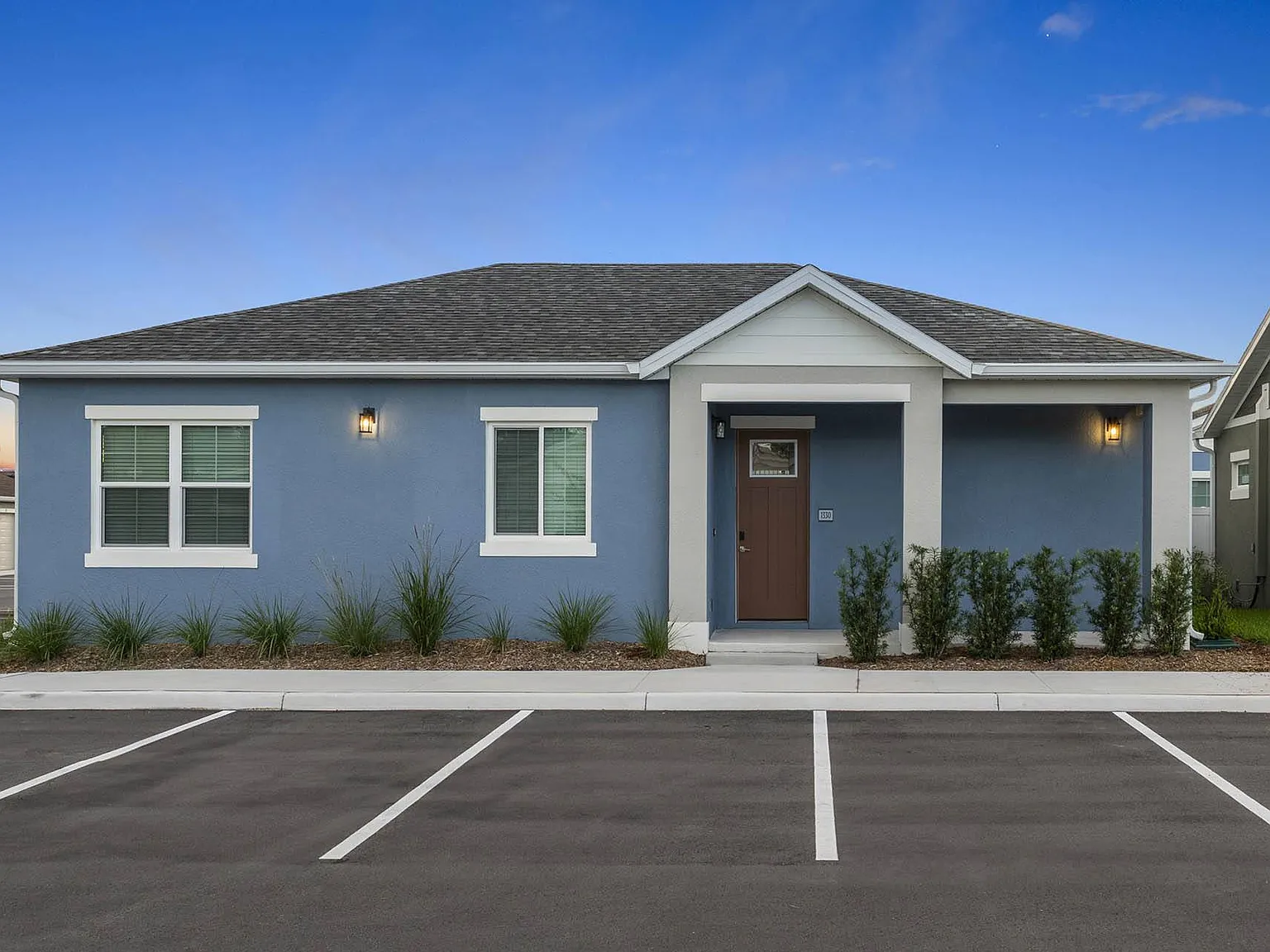 Avilla Silver Palm — Photo 4