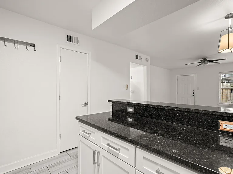 2020 S Congress Ave #2102 — Photo 6