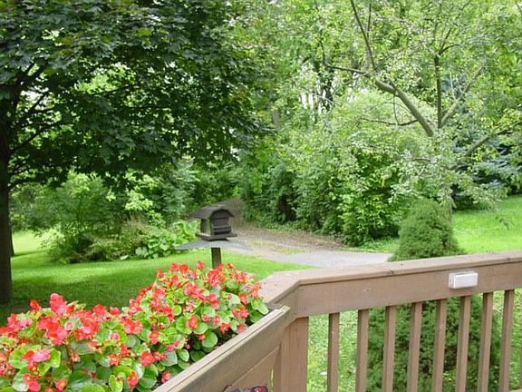 Deck View of Driveway