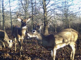 0 Fm 2253, Texarkana, TX 75503