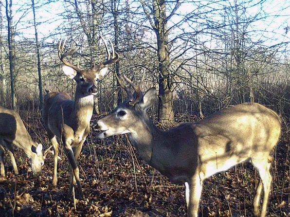 0 Fm 2253, Texarkana, TX 75503