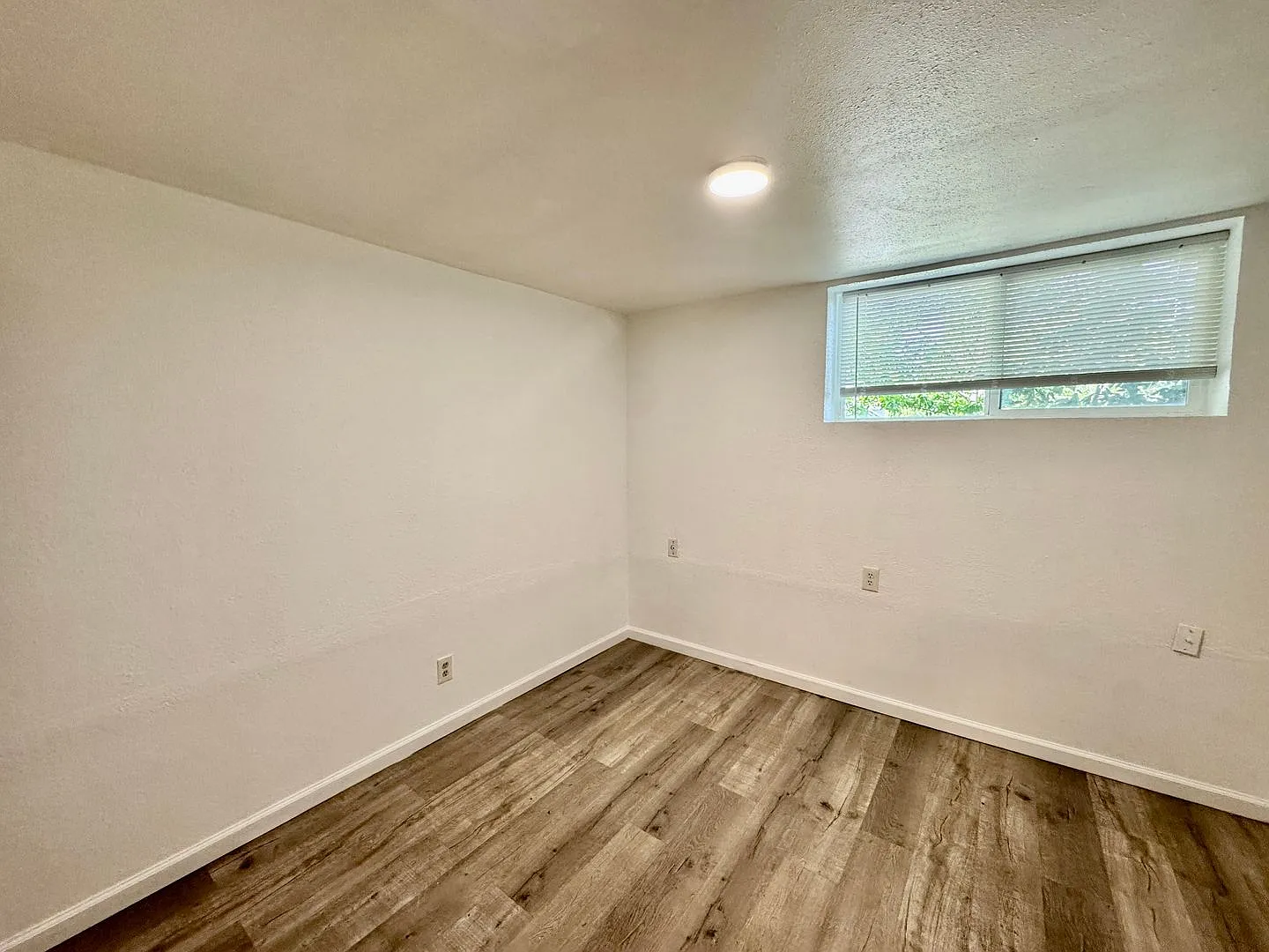 Sturgus Tri-plex — Photo 4