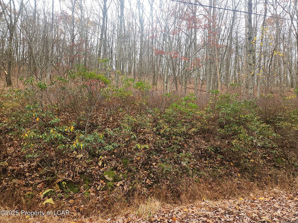 2nd image of 1212 Woodhaven Dr