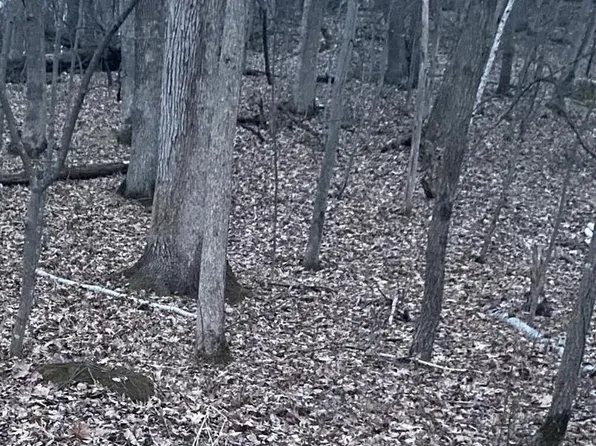 Lot 40 HILLSIDE DRIVE, Wisconsin Dells, WI 53965