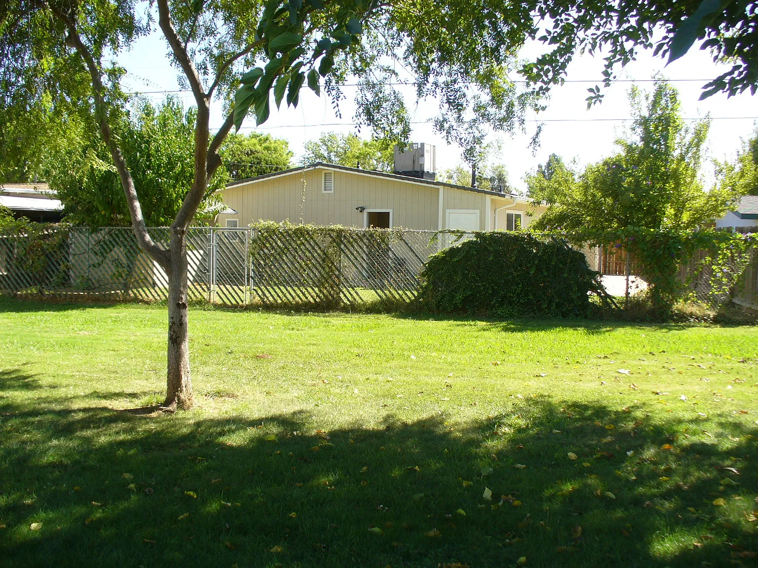 4 bed, 1344 sqft, $2,400 — Photo 3