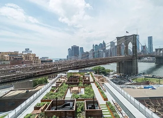 Rented by Two Trees | media 34