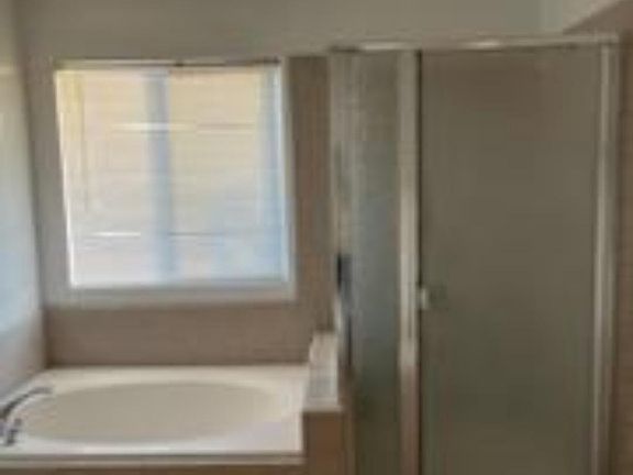 Master Bathroom Tub and Shower