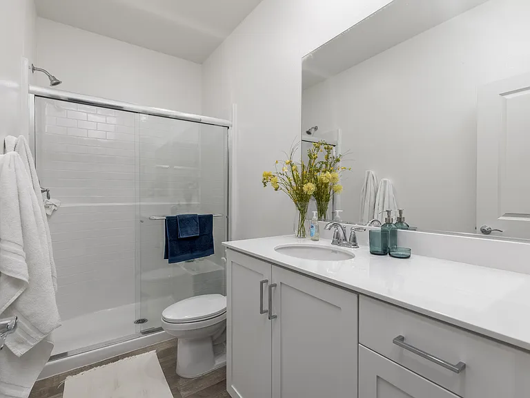 Desert Lily Ct — Photo 19