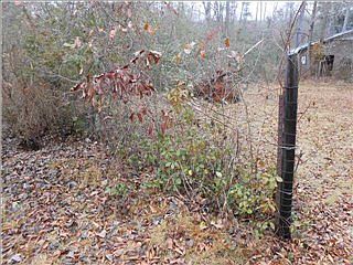 5th image of 4330 6th St E