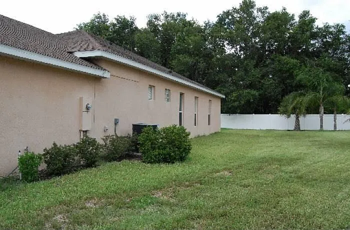 Side View
