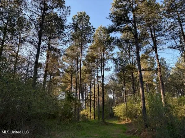 Old Jackson Rd, Forest, MS 39074