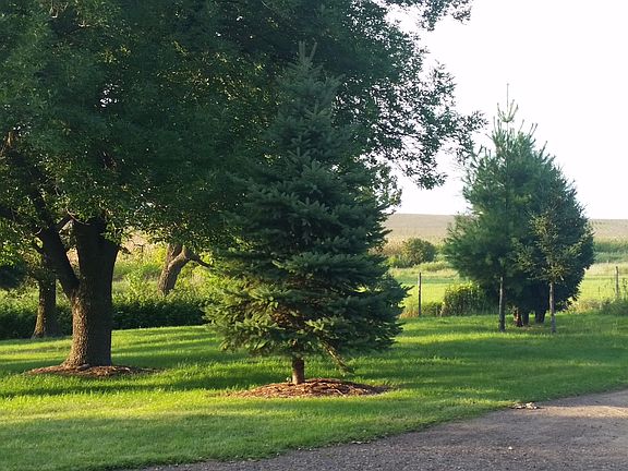 North view off back deck