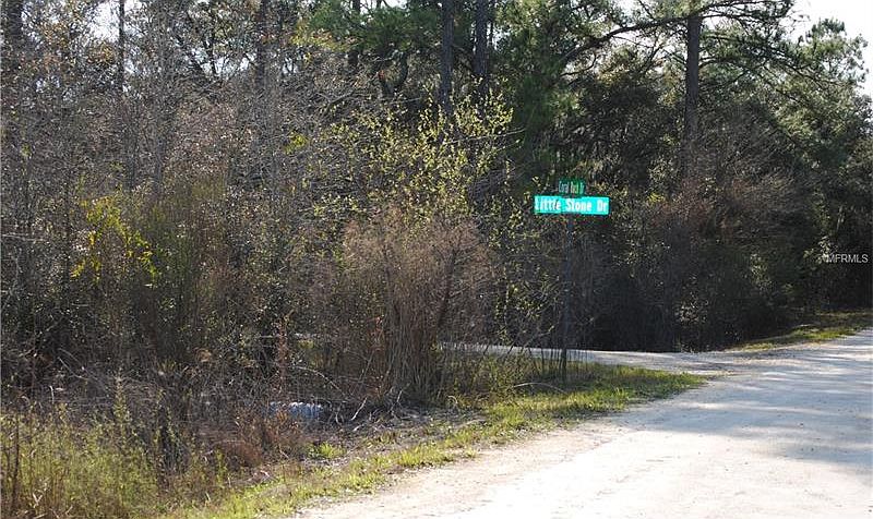 1st image of 33452 Coral Rock Dr