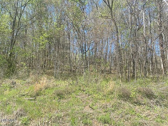 4th image of LOT 24 Tanasi Dr