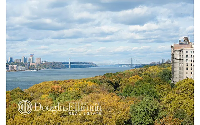 Rented by Douglas Elliman | media 36