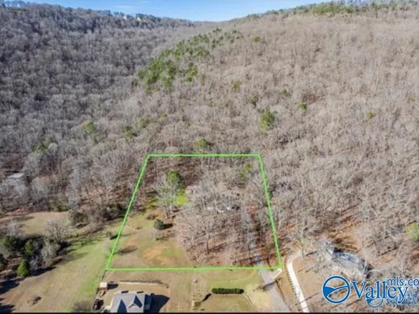 226 Walter Bird Dr, Owens Cross Roads, AL 35763