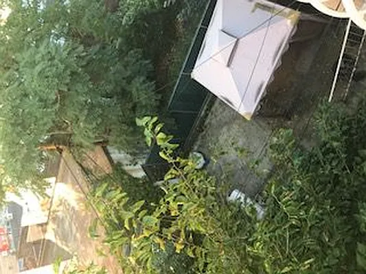 Rented by Winzone Realty Inc | media 22