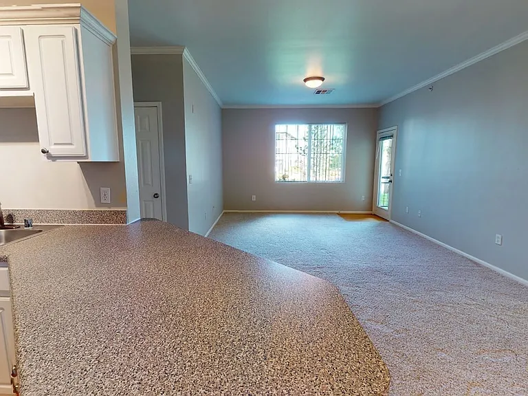 Apartment living room with plush carpet flooring.