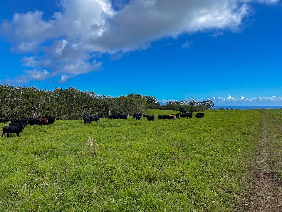 1st image of South Hilo