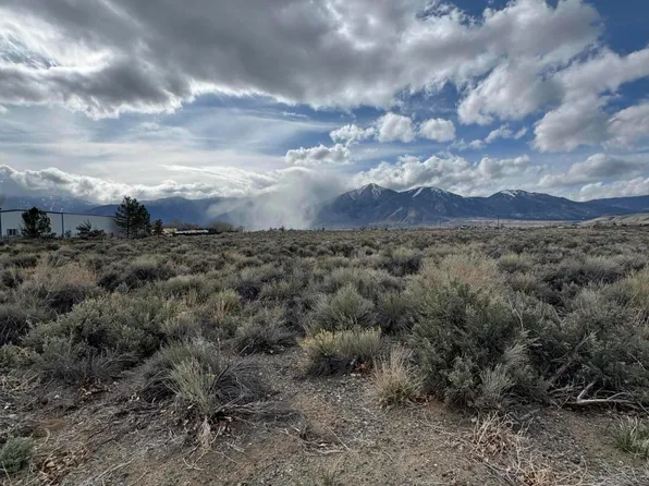 2590 Nowlin Rd, Minden, NV 89423