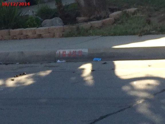2nd image of 16455 Abedul St