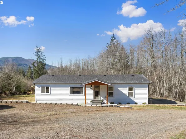 41911 NE Munch Rd, Amboy, WA 98601