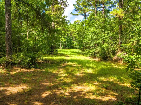 Fm 229, Crockett, TX 75835