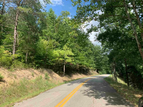 Cooksey Frk, Blaine, KY 41124