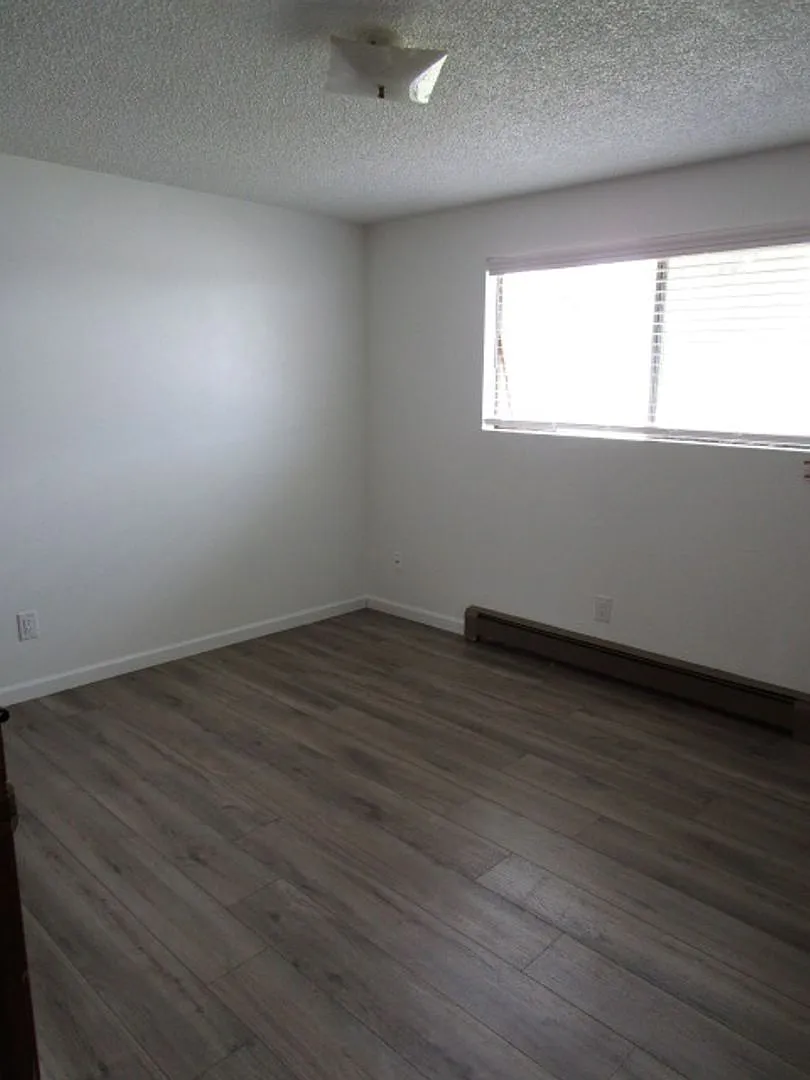 1114 Fidalgo Street — Photo 4