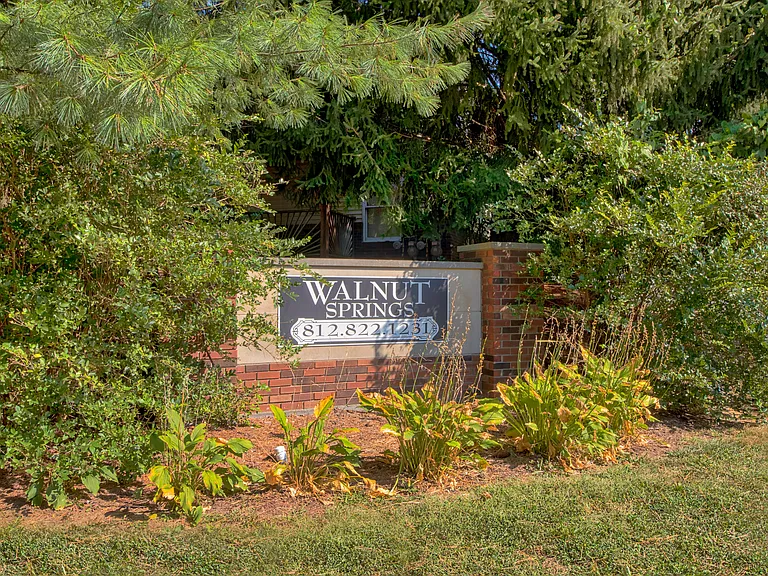 Walnut Springs — Photo 31