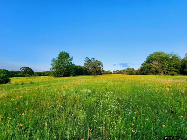 1594B County Road 3816, Bullard, TX 75757