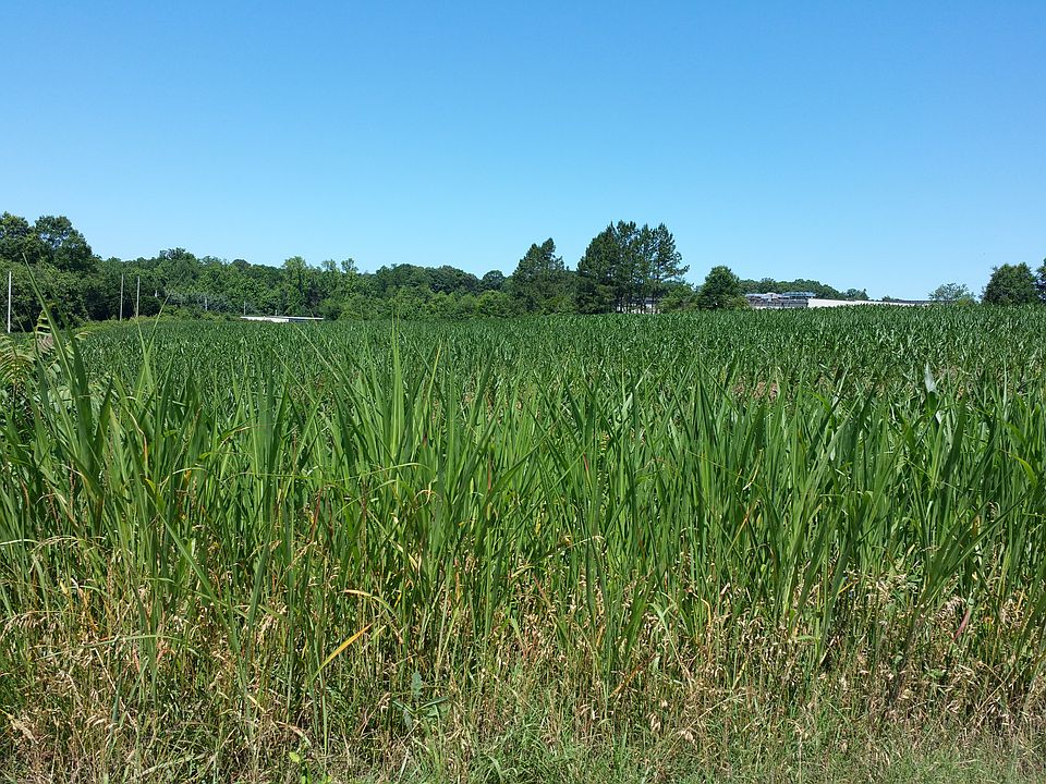 1st image of 0000 Vance Po Rd