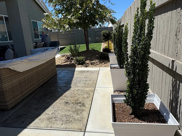 Backyard
