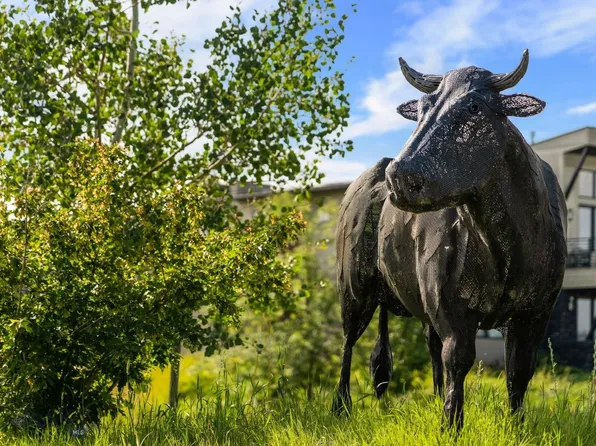 Tillyfour Rd, Bozeman, MT 59718