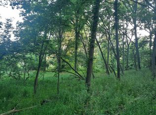 Bell Rd, Lake Odessa, MI 48849