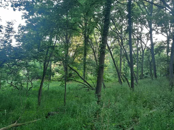 Bell Rd, Lake Odessa, MI 48849