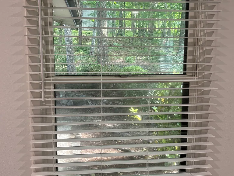 Master Bedroom window view to the back yard