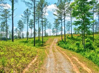 10 High River Rd, Ellijay, GA 30540