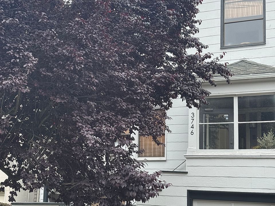 1st image of 3746 Sacramento St #3746