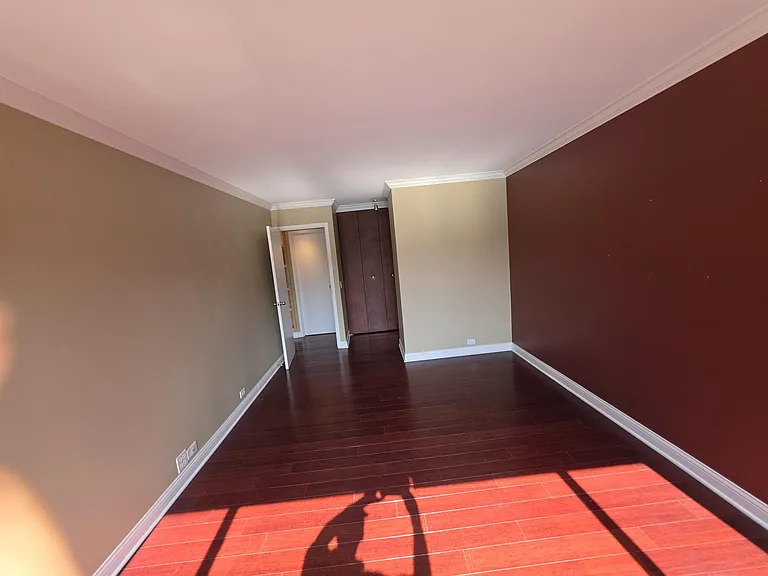 1555 N Sandburg Ter #305 — Photo 11