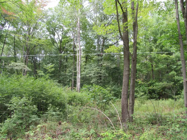 0 Duby Rd Parcel C-5, Tawas City, MI 48763